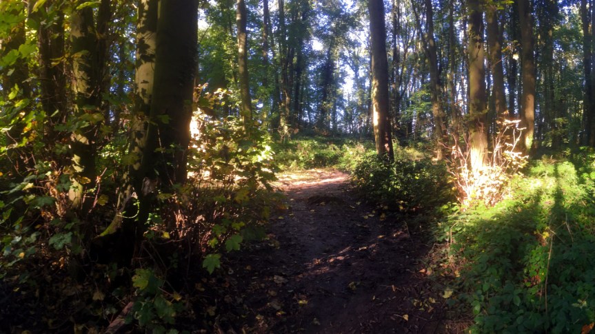 A Green and Ancient&nbsp;Land