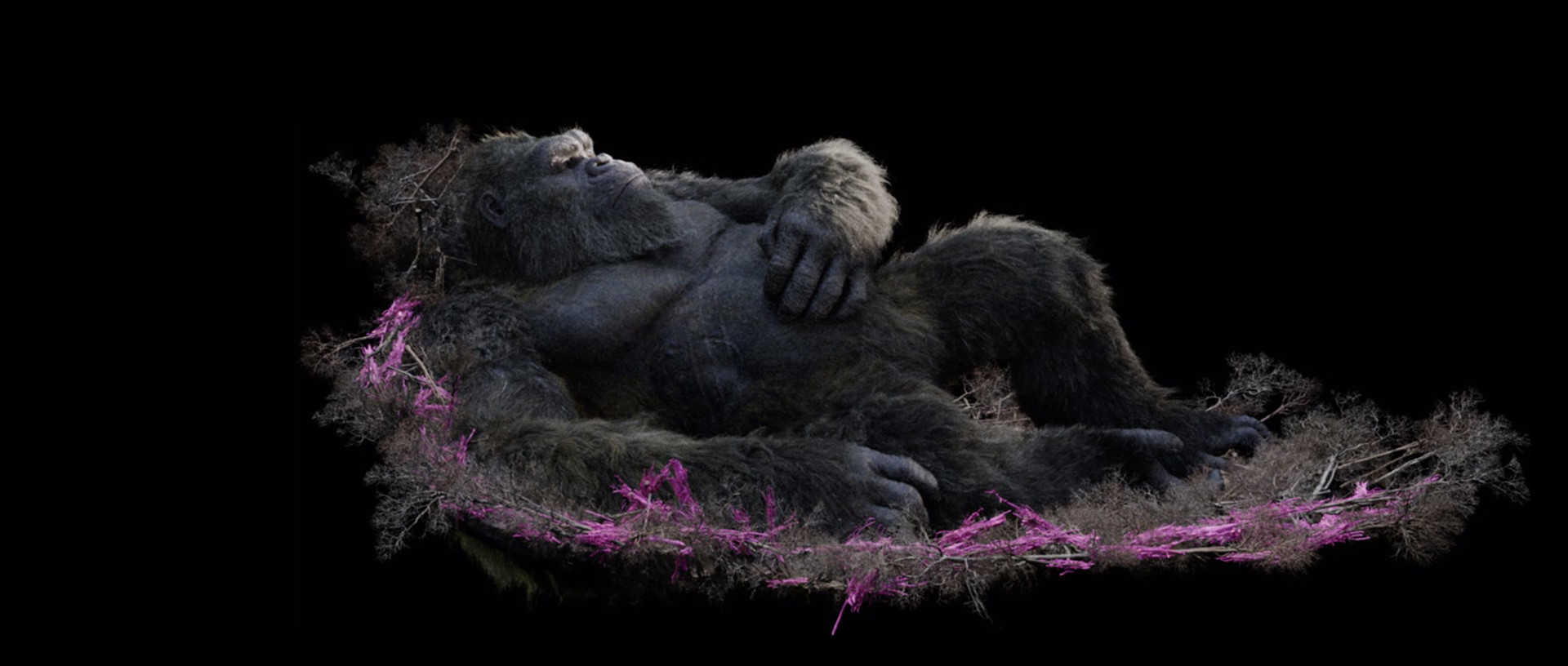 Godzilla vs Kong - visual effects by Weta Digital